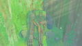 Hoa 2 thumbnail 2