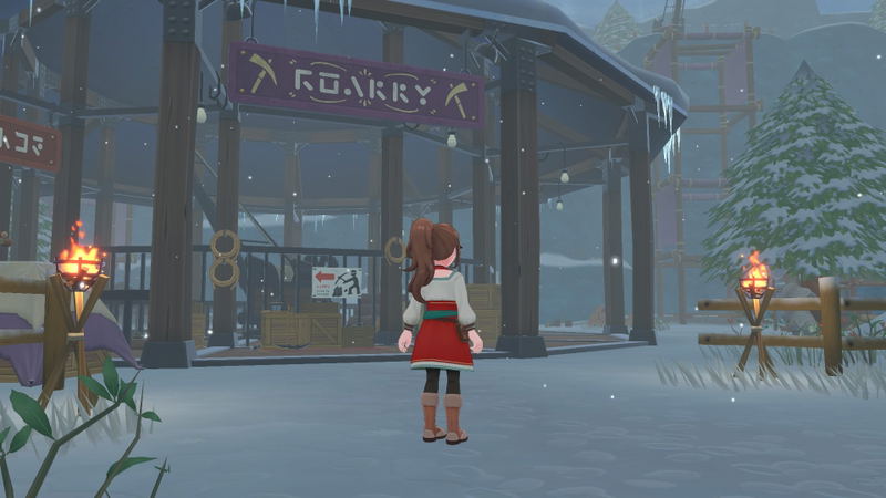 Harvest Moon: Echoes of Teradea image 8