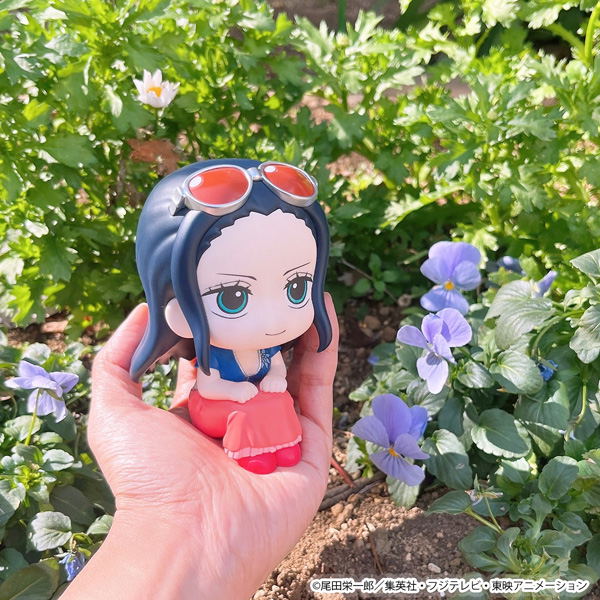 Look Up Series One Piece Nico Robin image 13