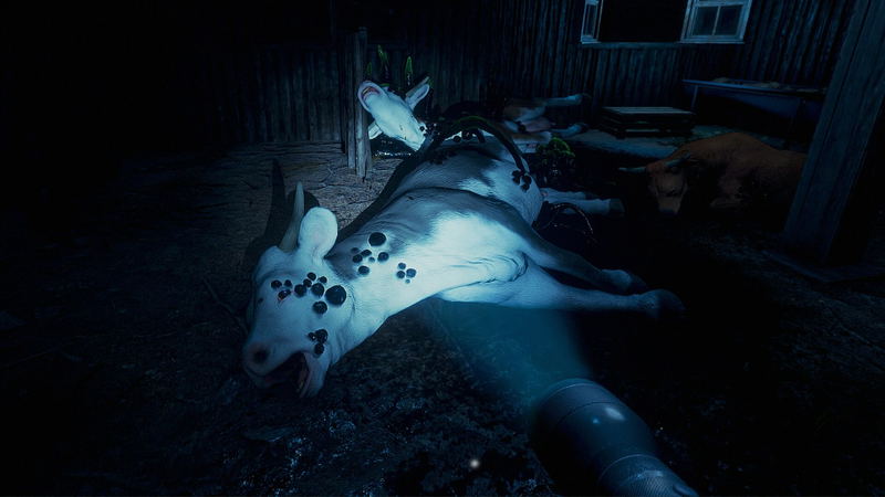They Are Here: Alien Abduction Horror image 3