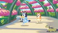 Bluey’s Happy Snaps thumbnail 8