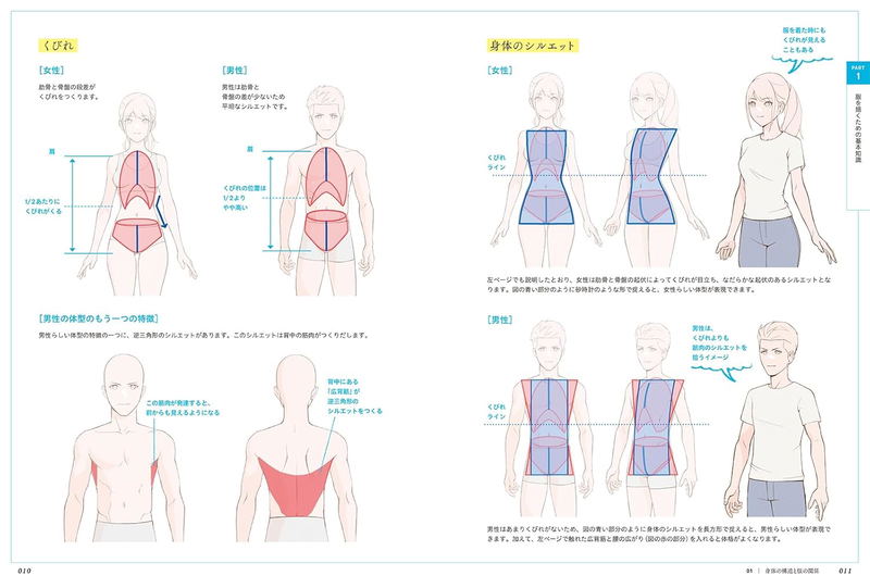 Mastering Expression! How To Draw Clothes - Costume Drawing That Makes A Difference With Silhouette, Wrinkles, And Fabric Texture image 3
