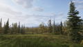 Way of the Hunter 2 thumbnail 5