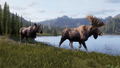 Way of the Hunter 2 thumbnail 8