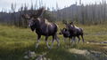 Way of the Hunter 2 thumbnail 9