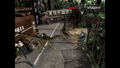 Dino Crisis 2 <span class="ext" style="background-color: #2a475e; color: #FFFFFF;">STEAM</span> <span class="ext ext_digital">digital</span> thumbnail 14