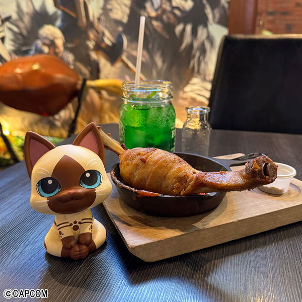 Look Up Series Monster Hunter Felyne image 11