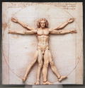 figma No. SP-075 The Table Museum: Vitruvian Man (Re-run) thumbnail 2