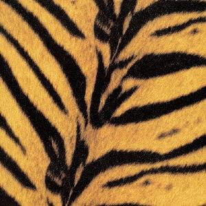 Tigermobile [Limited Edition] (Vinyl) image 1