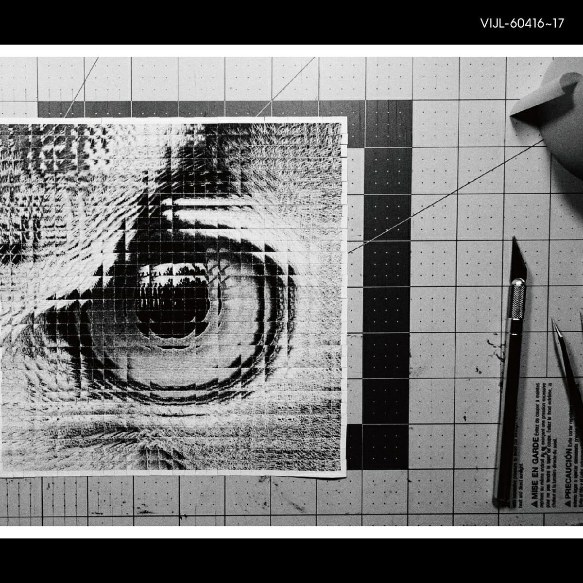 Adapt [Limited Edition] (Vinyl) (Sakanaction)