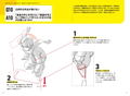 Compact Edition Ultimate Handbook Of Techniques – Beginner Level: How To Draw Faces And Bodies thumbnail 5