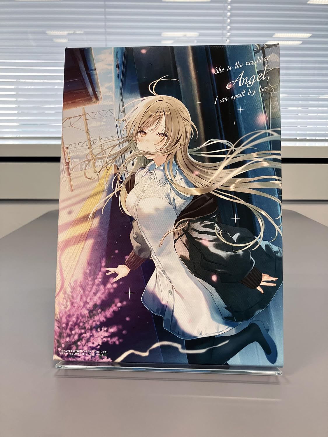The Angel Next Door Spoils Me Rotten Vol 13 [Special Edition w