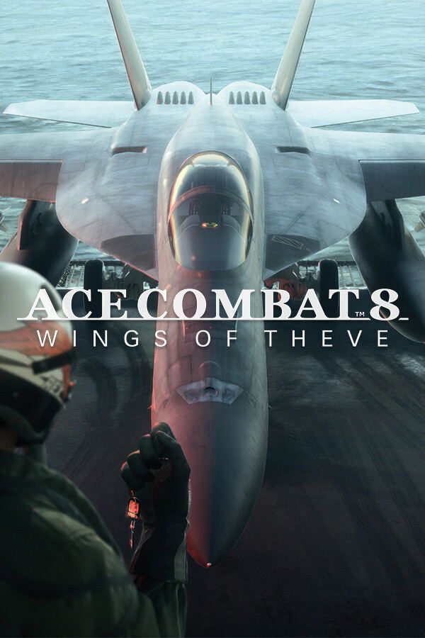 Ace Combat 8: Wings Of Theve <span class="ext" style="background-color: #2a475e; color: #FFFFFF;">STEAM</span> <span class="ext ext_digital">digital</span> image 1