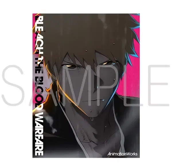 Bleach: Thousand-Year Blood War Bleach Animation Works image 1