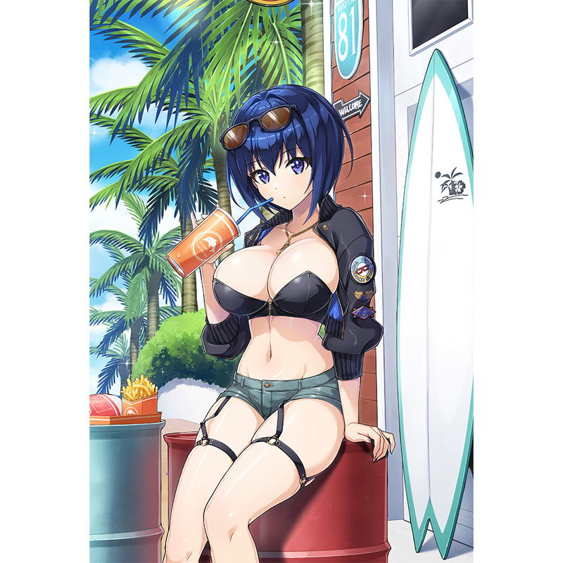Dolphin Wave Original Illustration Pillow Cover Tojo Michiru / Coast Riding image 2