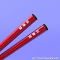 Ranma 1/2 Cat Cafe Gyoza Plate & Chopsticks Set thumbnail 4