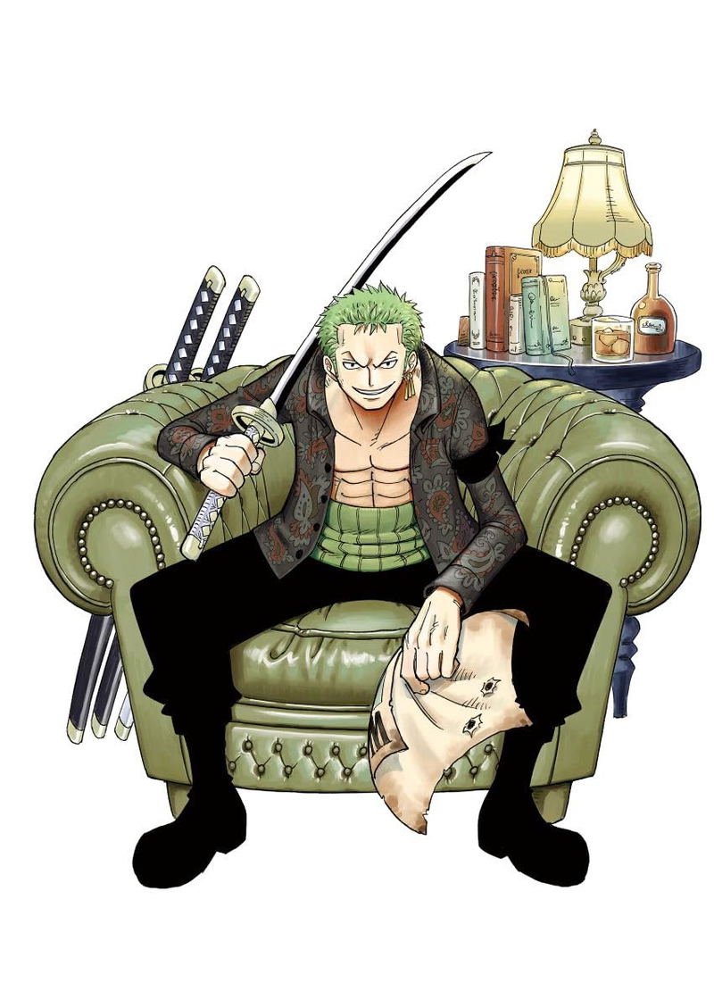 One Piece Novel Zoro image 1
