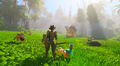Under a Rock thumbnail 11