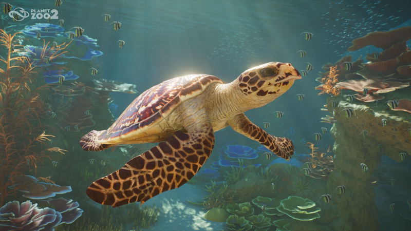 Planet Zoo 2 image 6