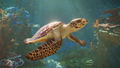 Planet Zoo 2 <span class="ext" style="background-color: #2a475e; color: #FFFFFF;">STEAM</span> <span class="ext ext_digital">digital</span> thumbnail 4