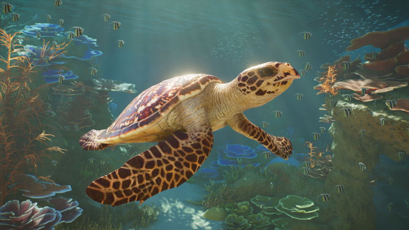 Planet Zoo 2 <span class="ext" style="background-color: #2a475e; color: #FFFFFF;">STEAM</span> <span class="ext ext_digital">digital</span> image 4