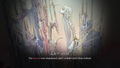 Bathory: Heritage of Blood thumbnail 8