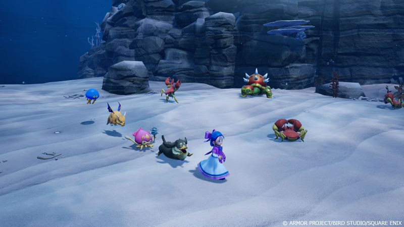 Dragon Quest Monsters 4 [Master Edition] (Multi-Language) image 13