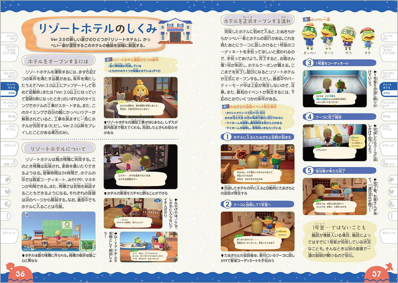 Animal Crossing: New Horizons Ver. 3.0 Free Update & Nintendo Switch 2 Edition Complete Strategy Guide + Super Catalog image 2