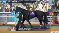 Derby Stallion 2 <span class="ext" style="background-color: #ff8c00; color: #FFFFFF;">Game Key Cart</span> thumbnail 4