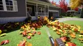 Leaf Blower Co. thumbnail 2
