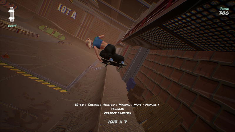 Skatesterre image 11