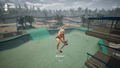 Skatesterre thumbnail 6