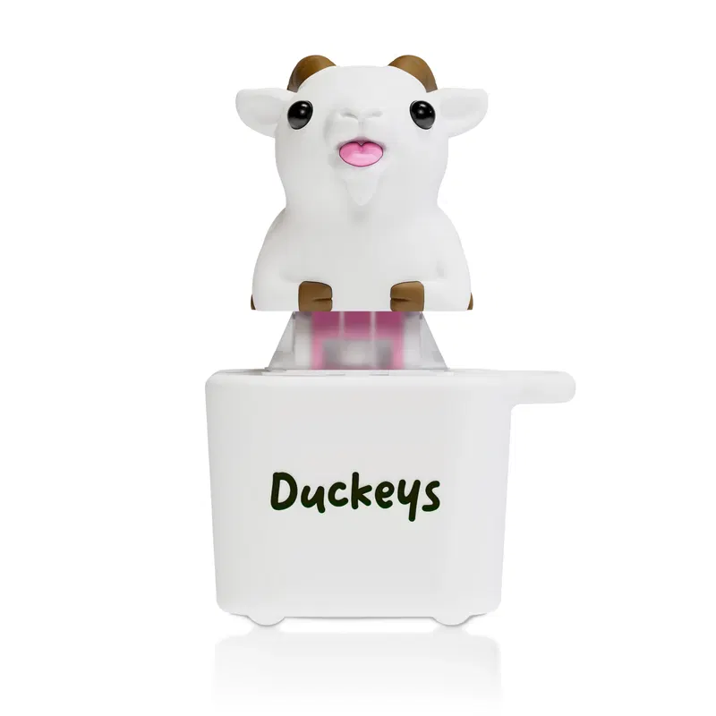 Duckeys Fidget Toy (Baakey) image 2