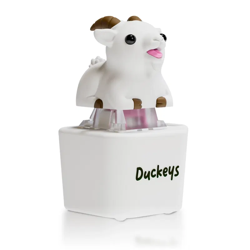 Duckeys Fidget Toy (Baakey) image 1