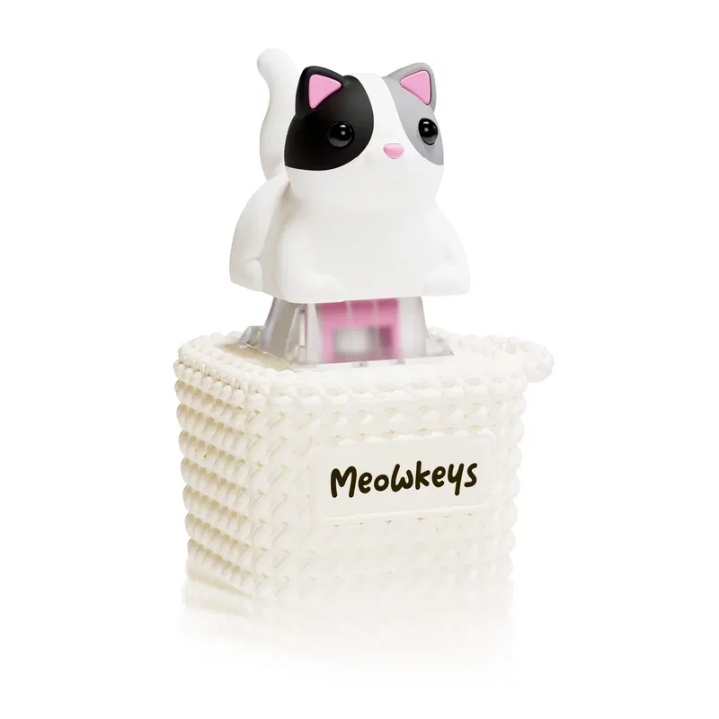 Duckeys Meowkey Fidget Toy (Tabby) image 1