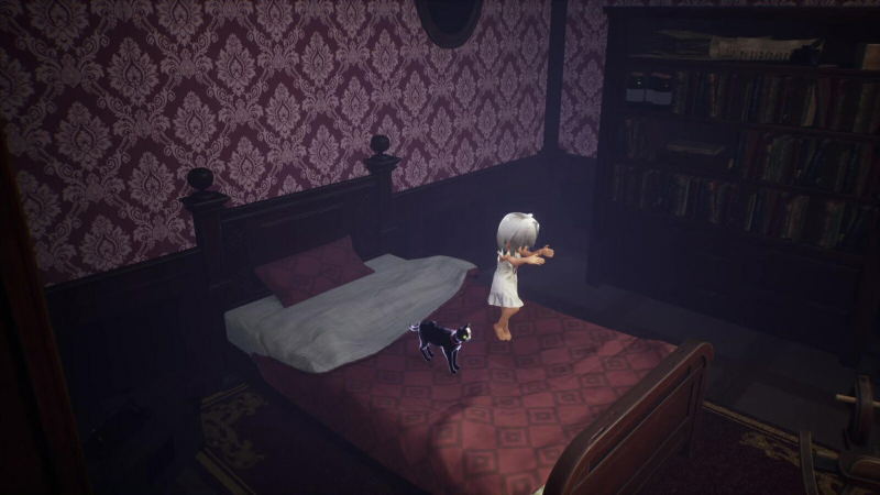 LIGHT: Black Cat & Amnesia Girl [Limited Edition] (Multi-Language) image 6