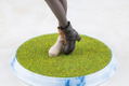 Uma Musume Pretty Derby 1/7 Scale Pre-Painted Figure: Grass Wonder thumbnail 13
