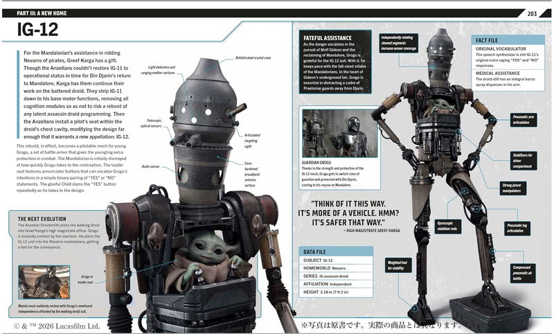Star Wars The Mandalorian Visual Guide image 3