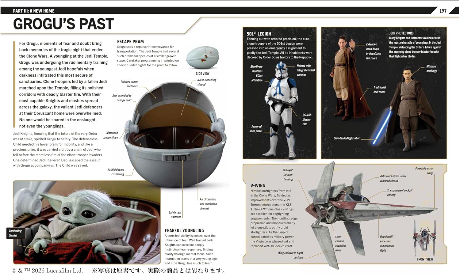 Star Wars The Mandalorian Visual Guide