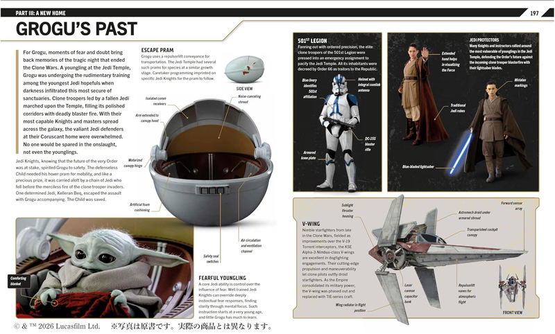 Star Wars The Mandalorian Visual Guide image 5