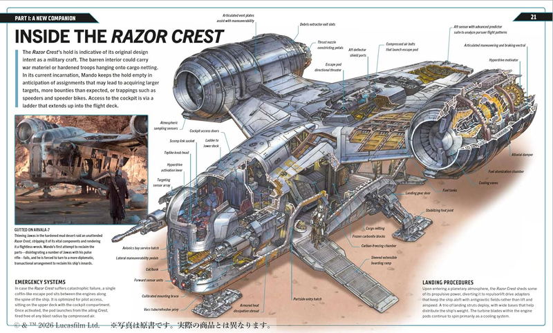 Star Wars The Mandalorian Visual Guide image 7