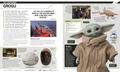 Star Wars The Mandalorian Visual Guide thumbnail 8