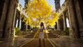 Luminary <span class="ext" style="background-color: #2a475e; color: #FFFFFF;">STEAM</span> <span class="ext ext_digital">digital</span> thumbnail 11