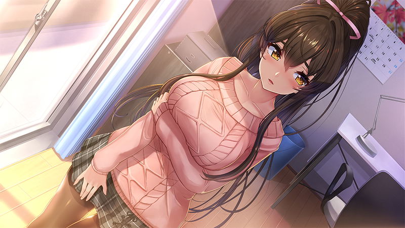 NinNin Heroines (Multi-Language) image 13