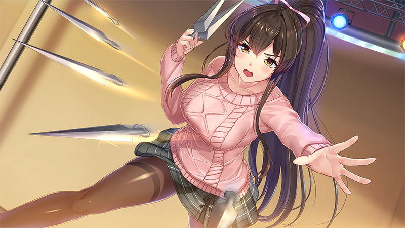 NinNin Heroines (Multi-Language) image 14