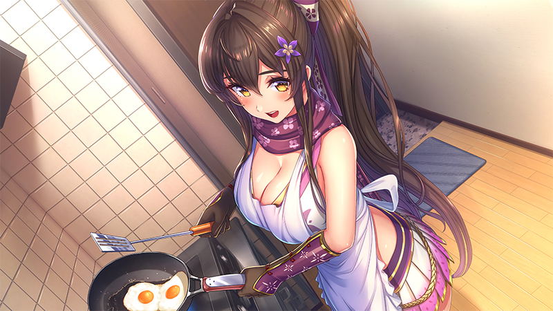 NinNin Heroines (Multi-Language) image 11