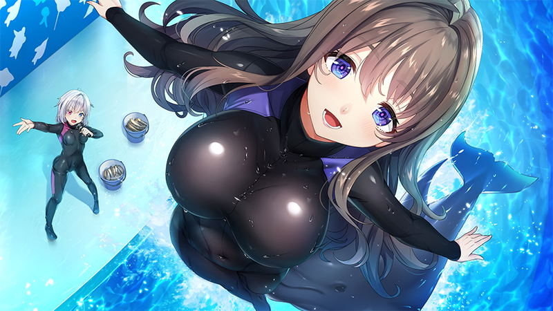 NinNin Heroines (Multi-Language) image 16