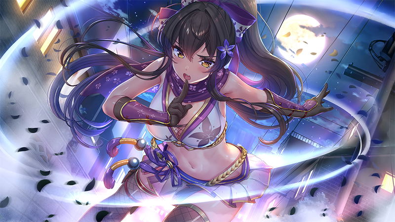 NinNin Heroines (Multi-Language) image 6