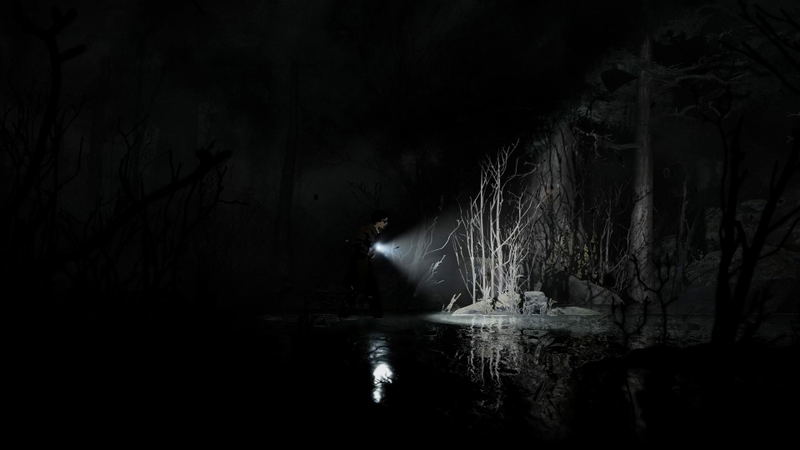 Silver Pines <span class="ext" style="background-color: #2a475e; color: #FFFFFF;">STEAM</span> <span class="ext ext_digital">digital</span> image 9