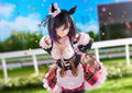 Uma Musume Pretty Derby 1/7 Scale Pre-Painted Figure: Eishin Flash Victory Pose Ver. thumbnail 9